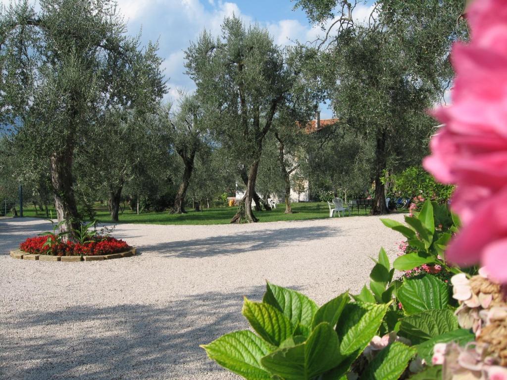 Hotel Zanetti Torri Del Benaco Extérieur photo